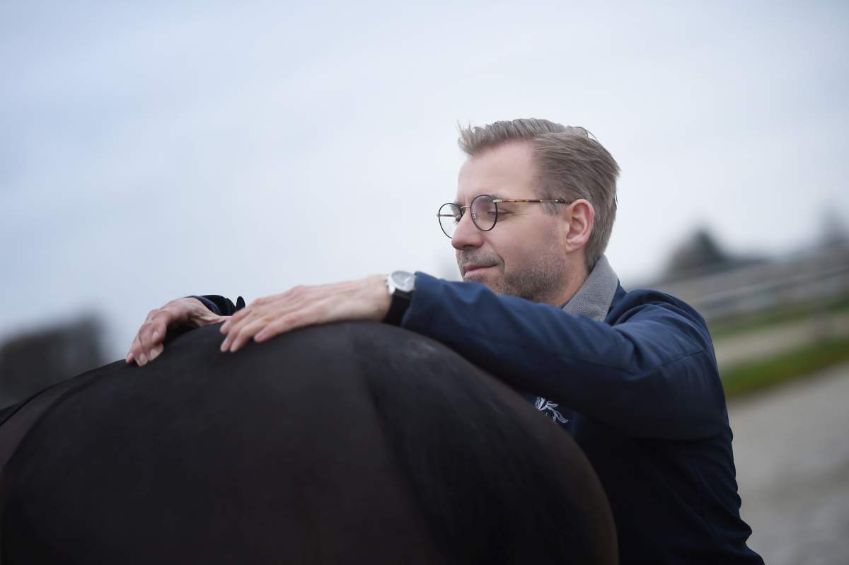 Lars Teigeler - Osteopathie für Pferde und Hunde NRW: Behandlungsszene